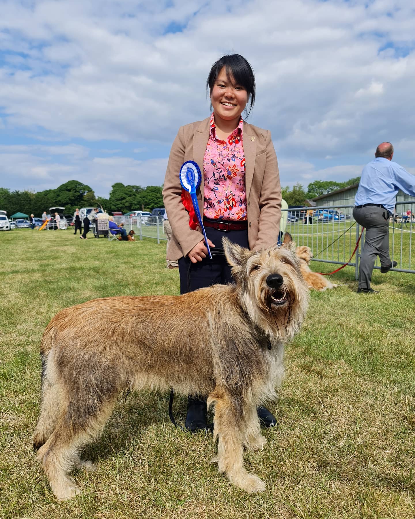 Picardy Sheepdog / Berger Picard at Royal Cheshire Premier Open Show
