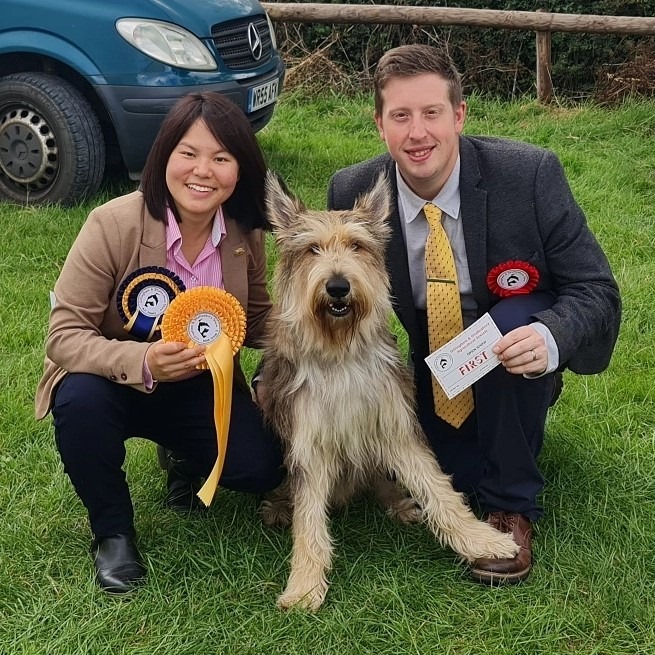 Picardy Sheepdog / Berger Picard at Gillingham & Shaftesbury Agricultural Society Open Show