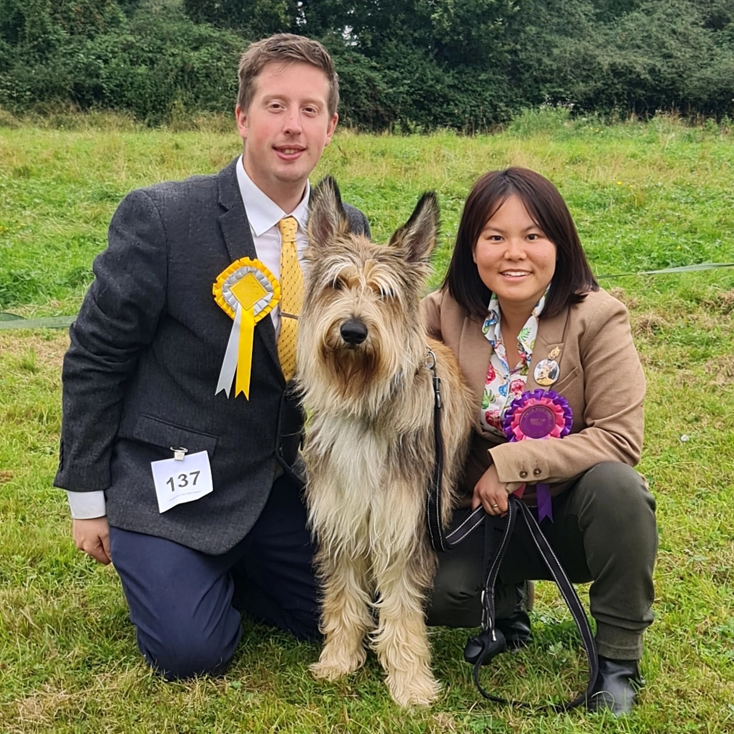 Picardy Sheepdog / Berger Picard at South West Essex Canine Association (SWECA) Open Show