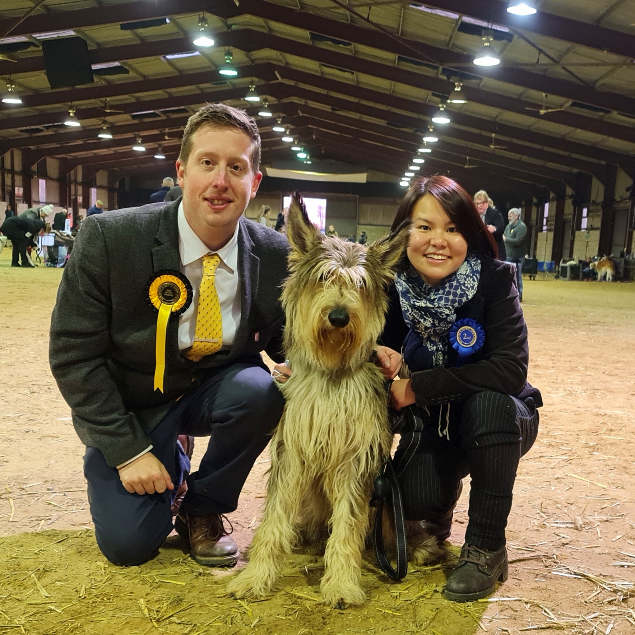Picardy Sheepdog / Berger Picard at Guildford & District Canine Society Open Show