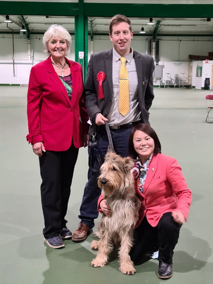 Picardy Sheepdog / Berger Picard at Worcester & Malvern Canine Society Open Show