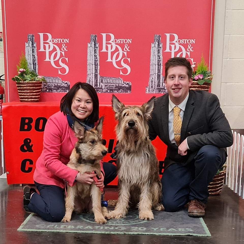Picardy Sheepdog / Berger Picard at Boston & District Canine Society Championship Show