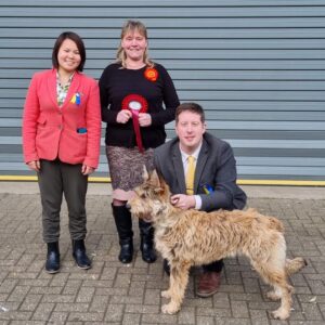 Picardy Sheepdog / Berger Picard at Woolwich, Bexley & District Canine Association Open Show