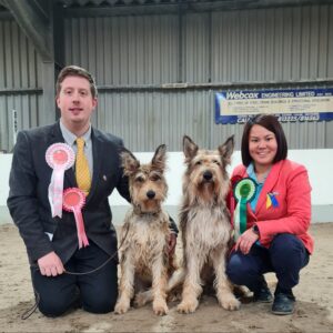 Picardy Sheepdog / Berger Picard at Chippenham & District Canine Society Open Show