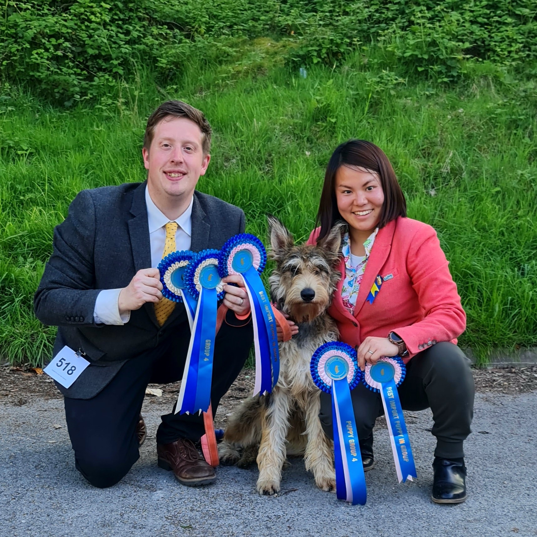 Picardy Sheepdog / Berger Picard at Redditch & District Canine Society Open Show