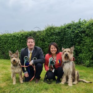 Picardy Sheepdog / Berger Picard at Marlborough & District Canine Society Open Show