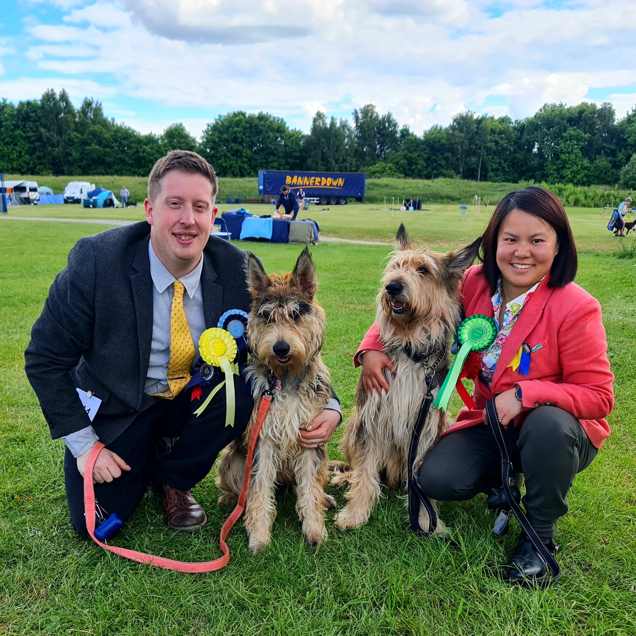 Picardy Sheepdog / Berger Picard at Reading & District Kennel Association Premier Open Show