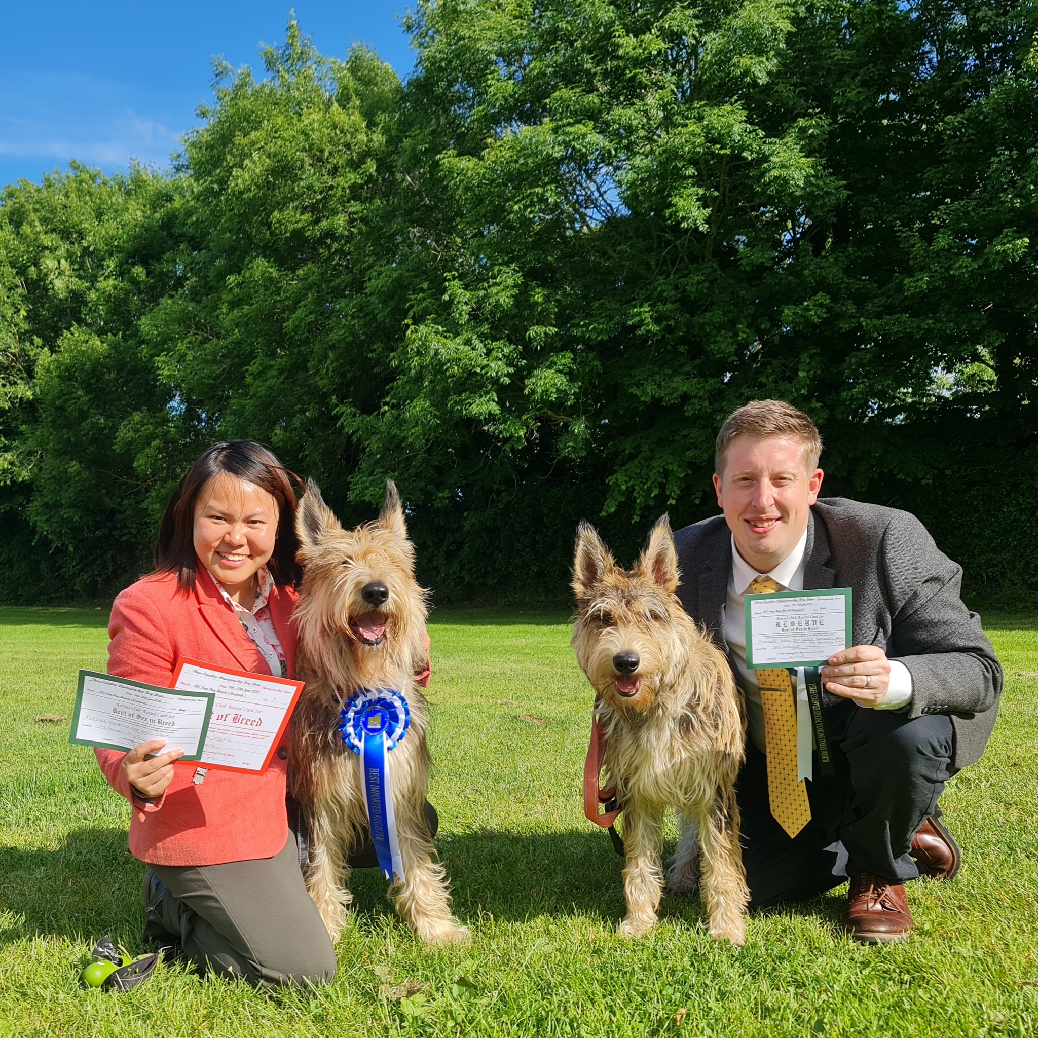 Picardy Sheepdog / Berger Picard at Three Counties Championship Show