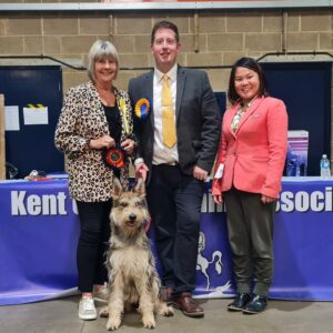 Picardy Sheepdog / Berger Picard at the Kent County Canine Association Open Show